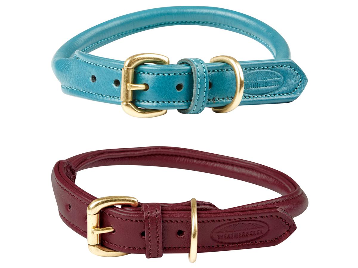 Weatherbeeta dog collar sale