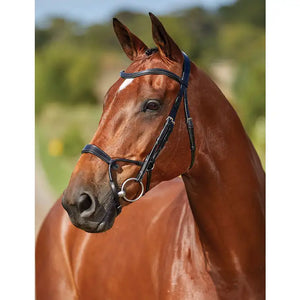 Collegiate Comfitec Training Bridle