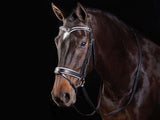 Collegiate V Shaped Diamante Bridle