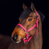 Horze Claremont Halter